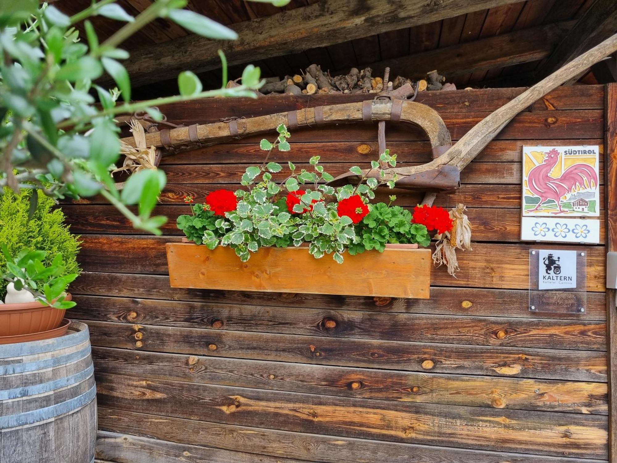 Urlaub Auf Dem Bauernhof Schmidhof - Grosse Terrasse, Pool Und Beste Lage カルダーロ エクステリア 写真